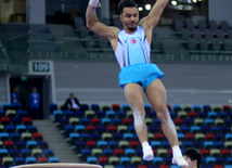 Bakıda idman gimnastikası üzrə Dünya Kuboku yarışlarının ikinci günü start götürüb. Azərbaycan, 20 fevral, 2016